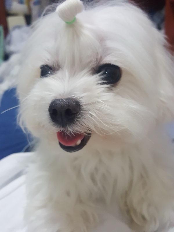 250812_계양_사랑이.jpg