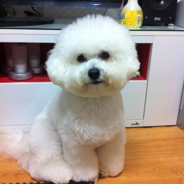 250812_부평_동동이.jpg