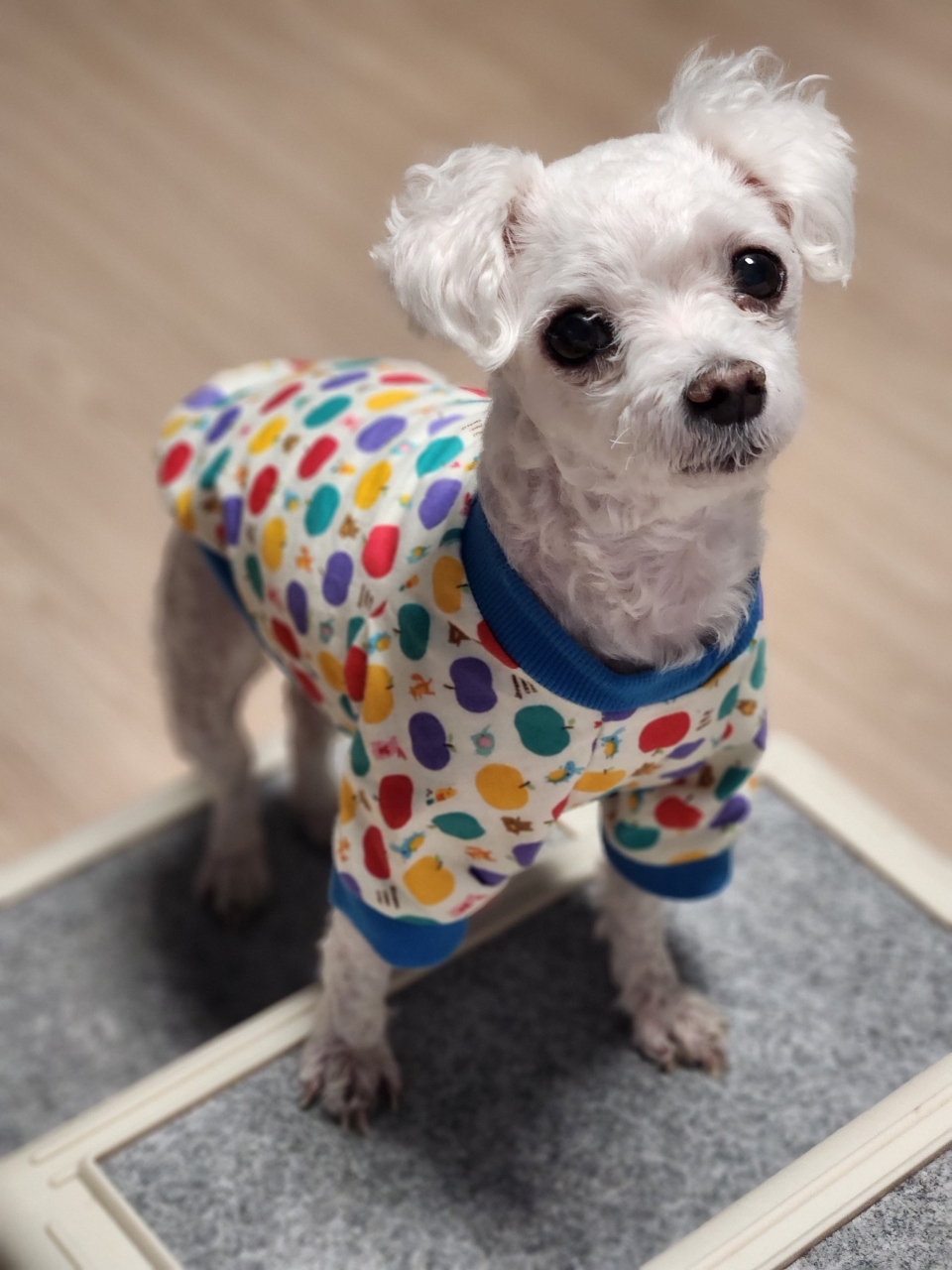 250823_평택_단추.jpg