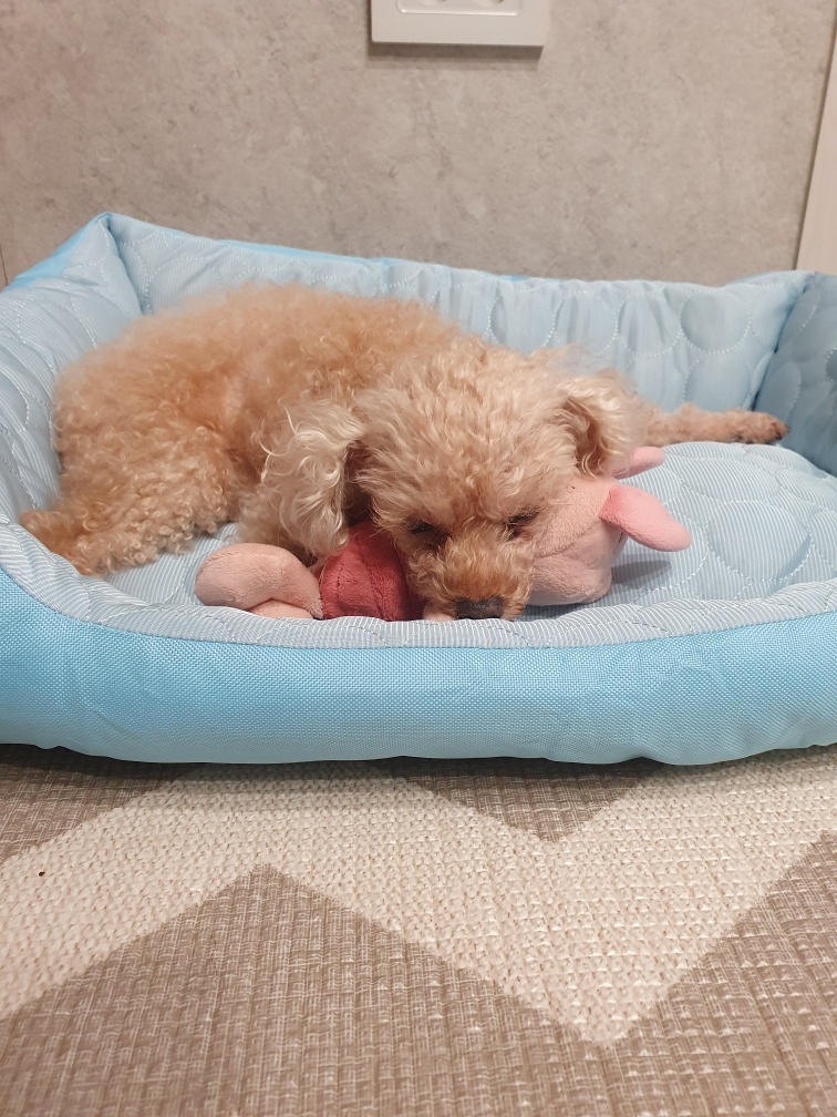 250824_부평_랑이.jpg