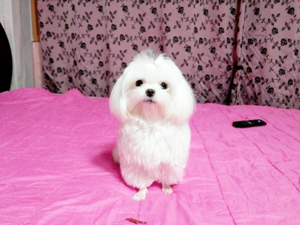 250902_부평_방울.jpg