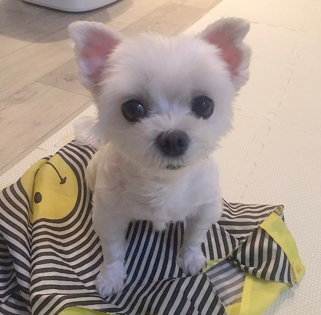 250904_제물포_호두.jpg