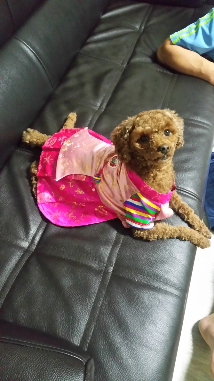 250905_부평_양이.jpg