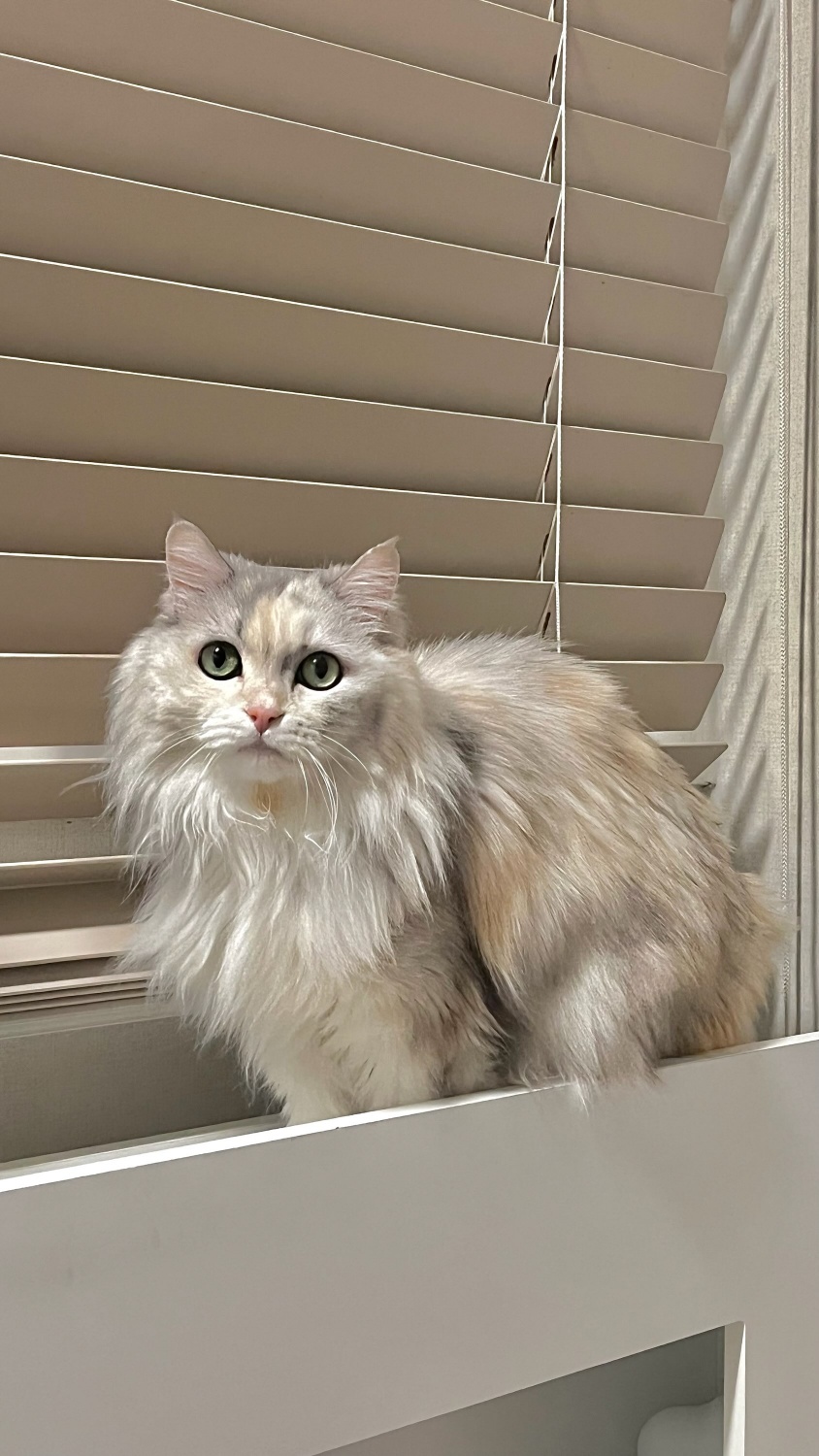 250905_부평_제리.jpg