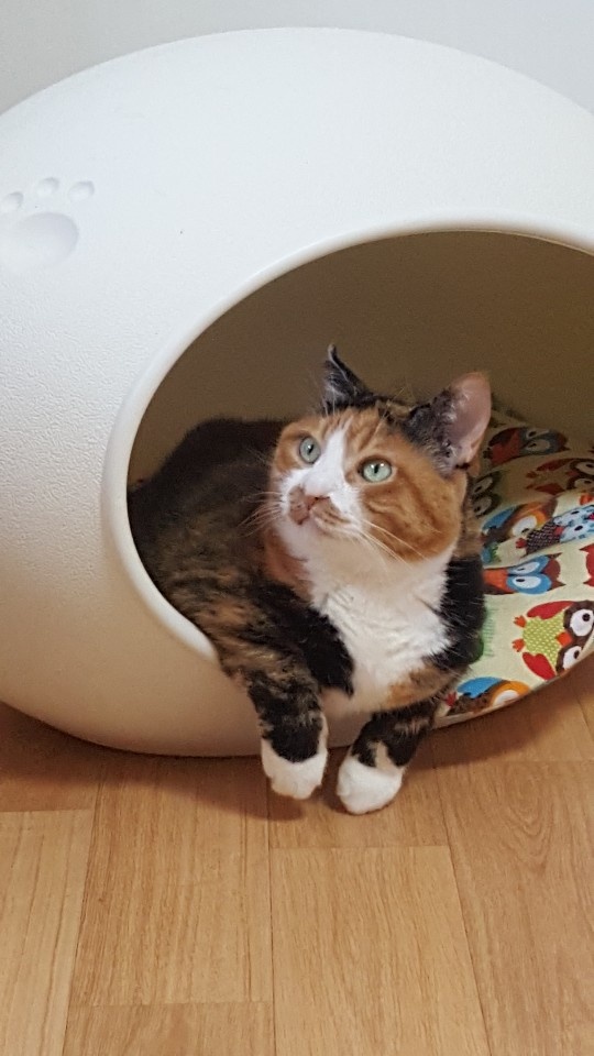 250907_부평_삼월이.jpg
