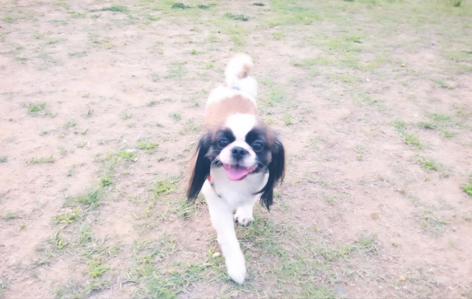 250910_부평_봉지.jpg