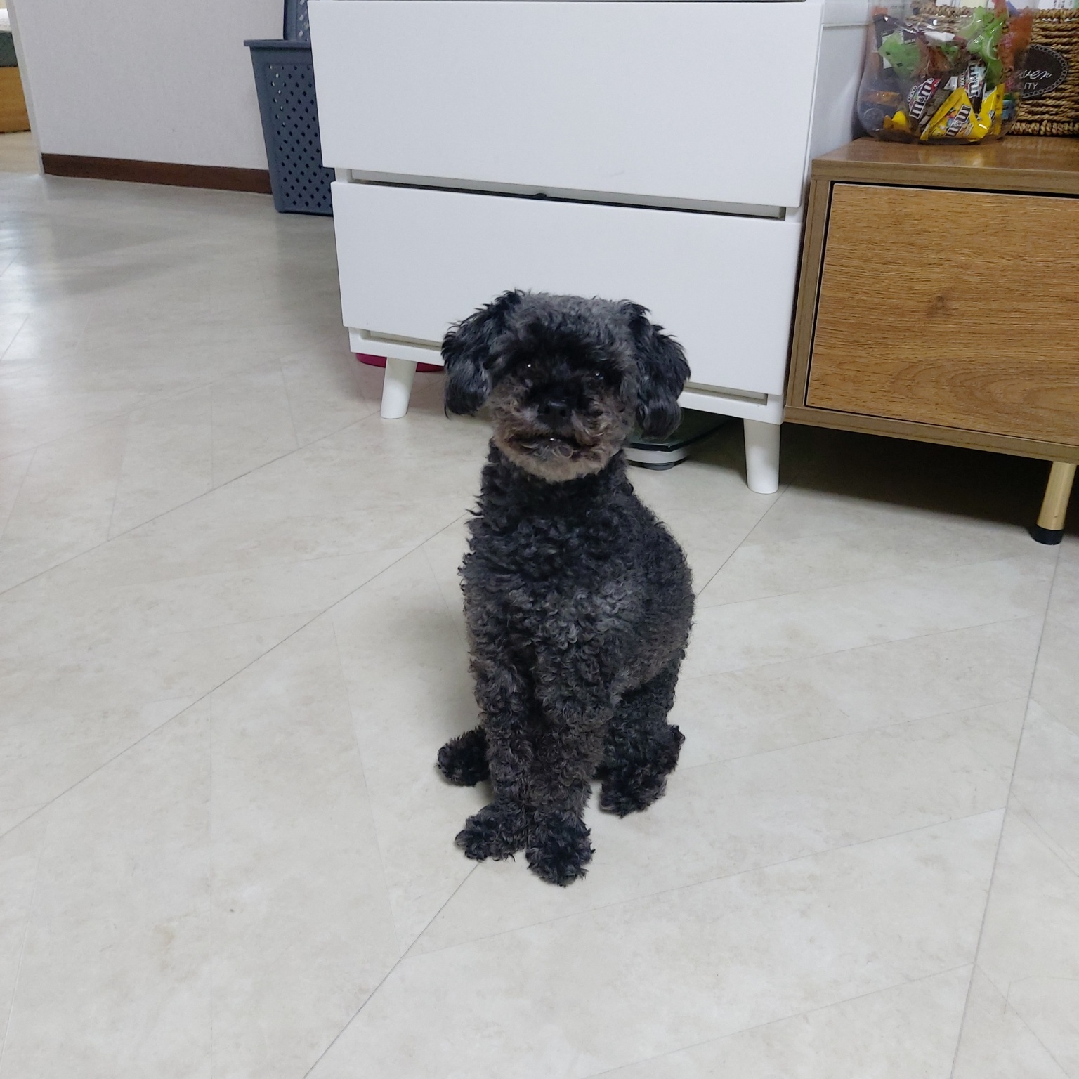 250911_계양_문열.jpg