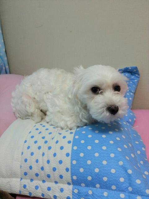 250915_광명_소주.jpg