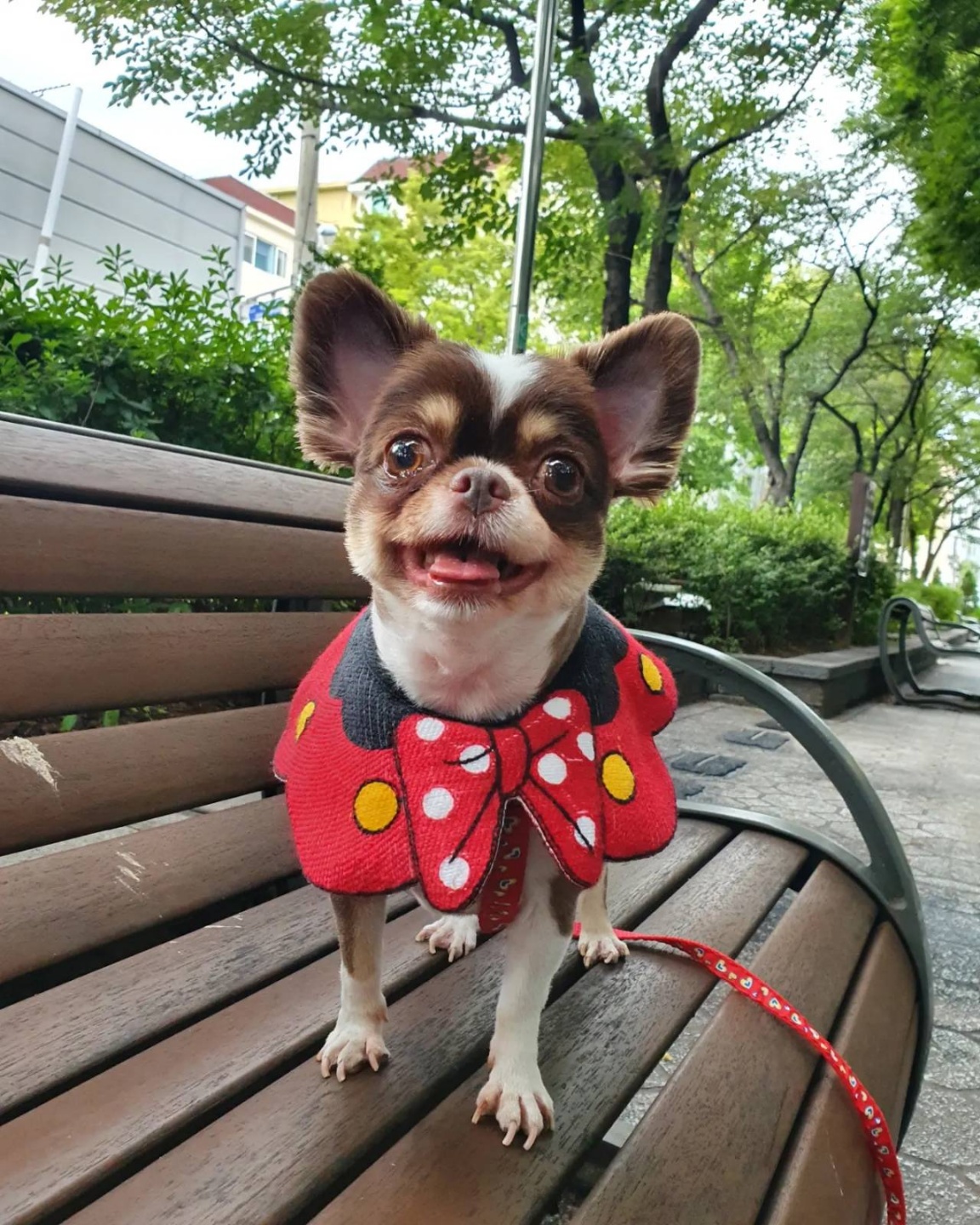 250915_부천_초코.jpg