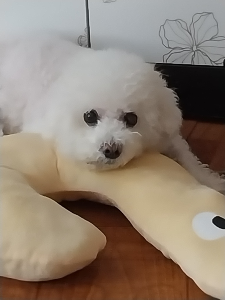 250915_부천_코코.jpg