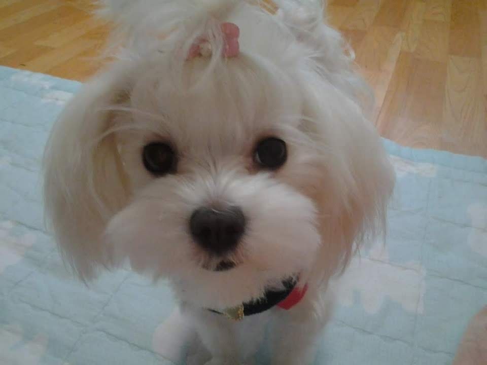 250917_부평_쭈쭈.jpg