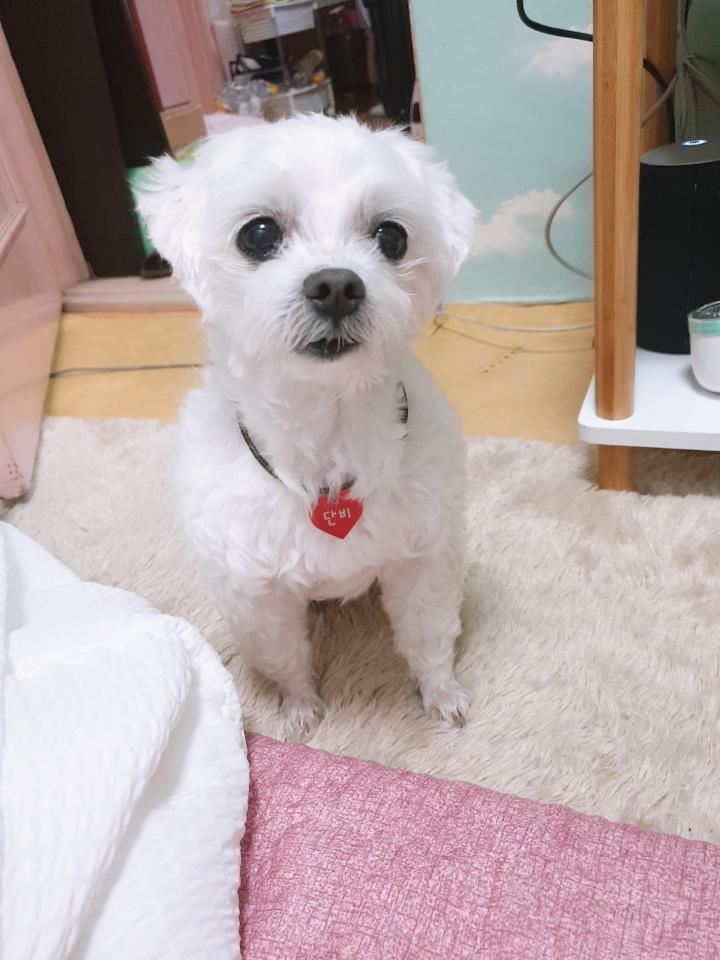 250918_광명_단비.jpg