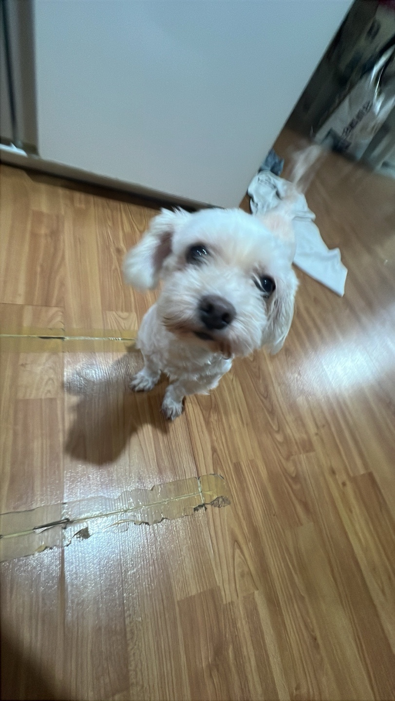 250918_부개동_구름이.jpg