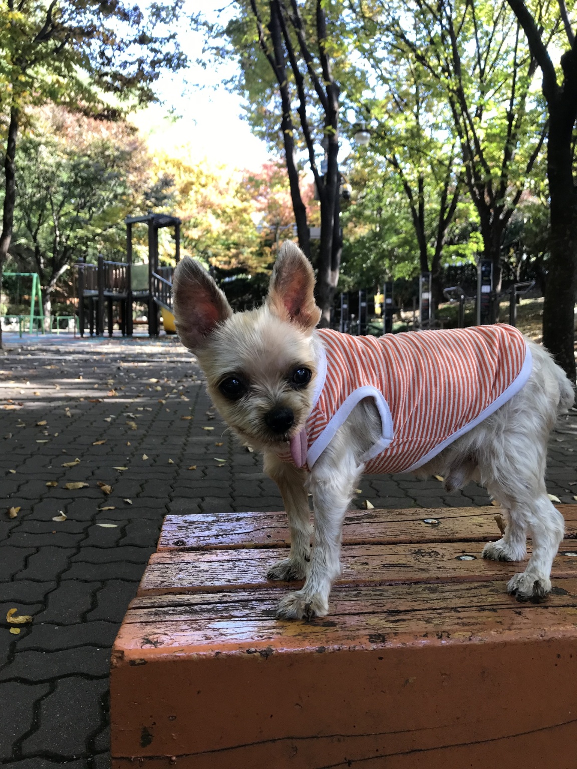250919_부평_콩이.jpg