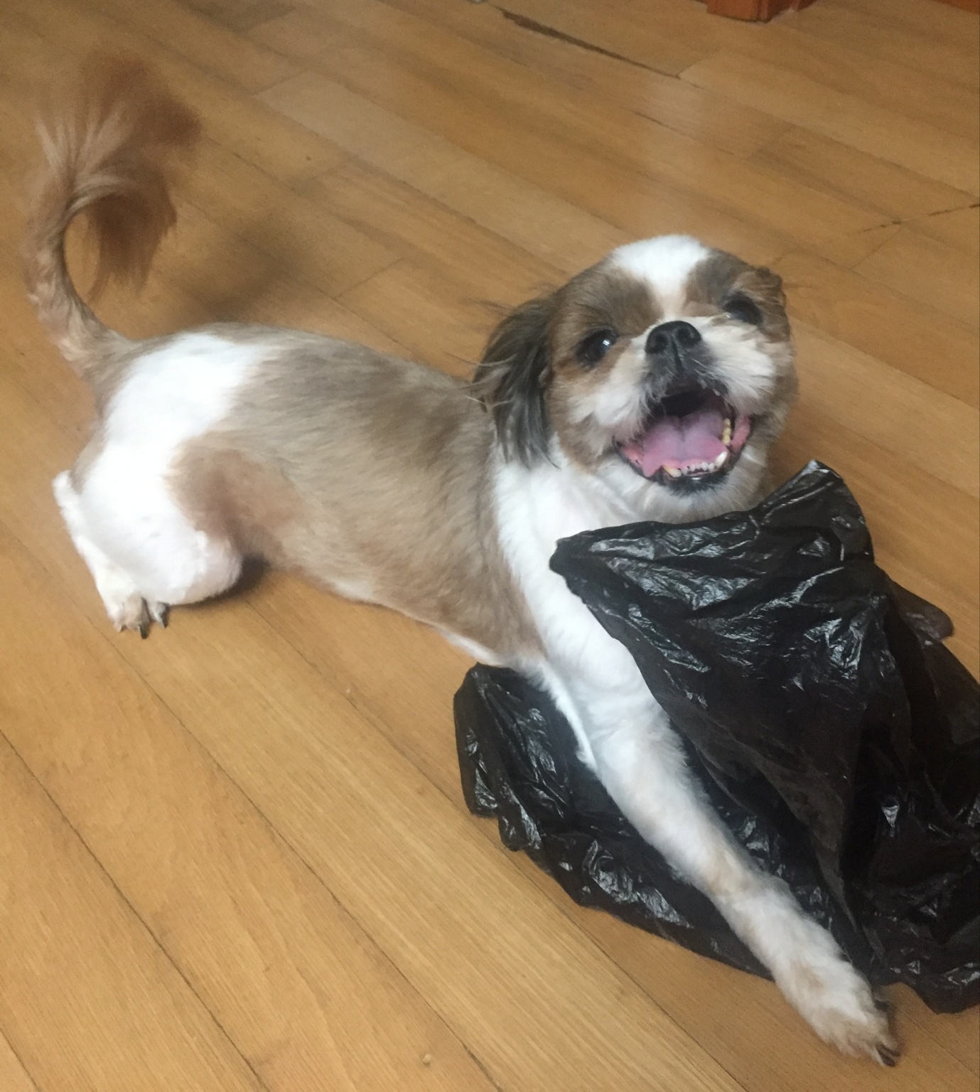250920_간석동_황이.jpg
