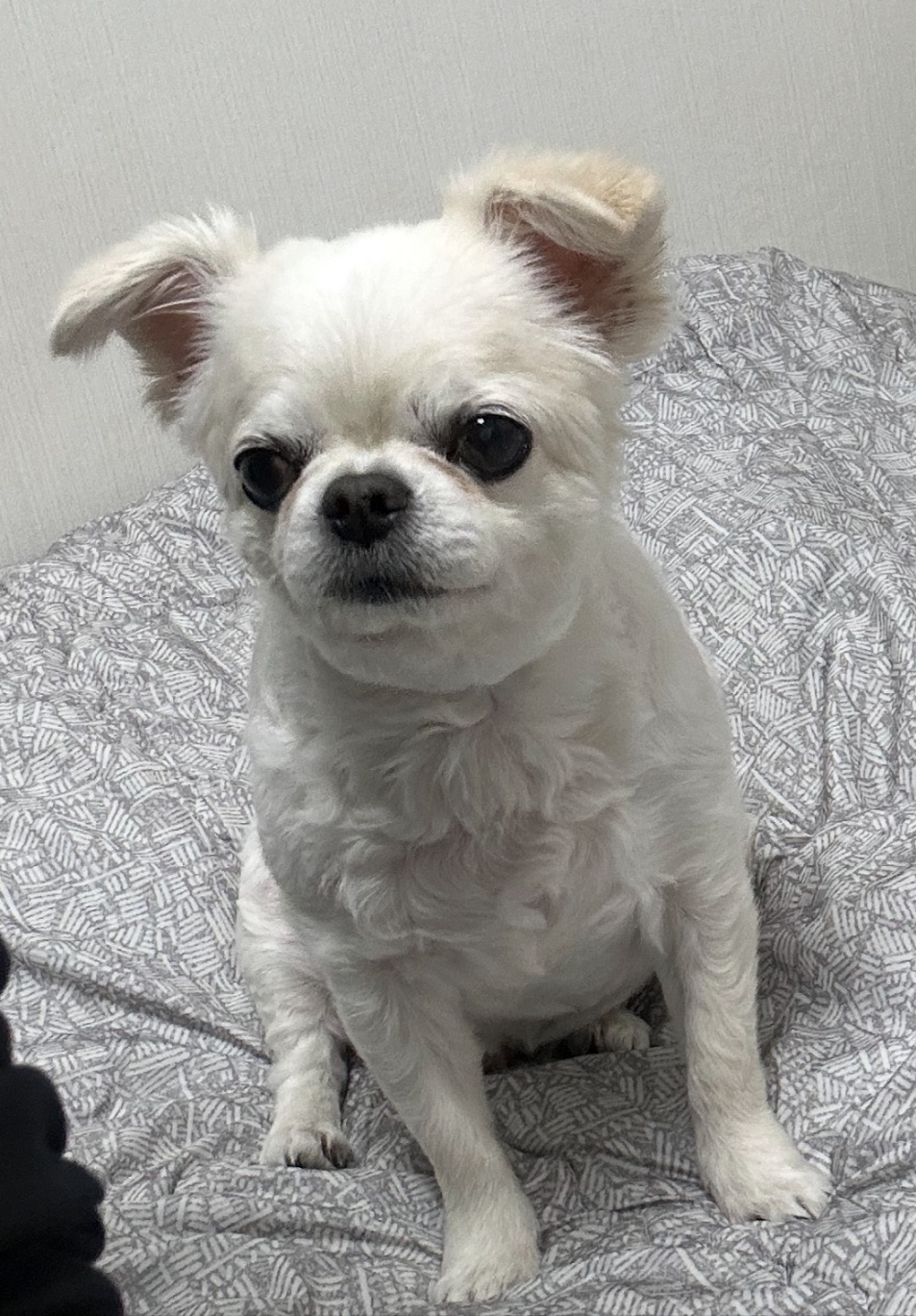 250922_모모_미추홀구.jpg