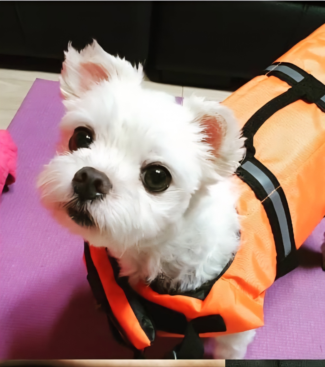 250924_부평_로이.jpg