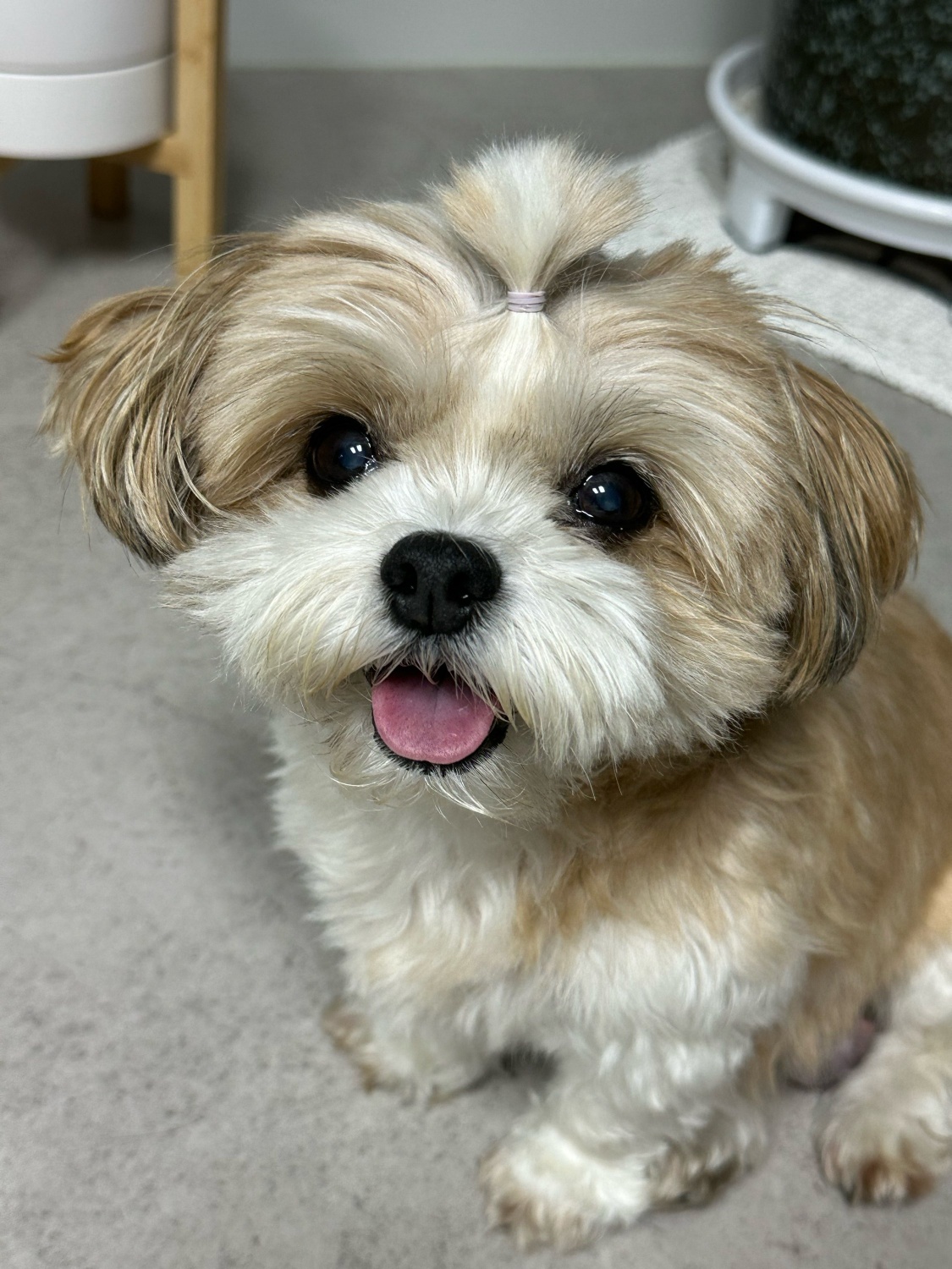 260107 부평 두나.jpg