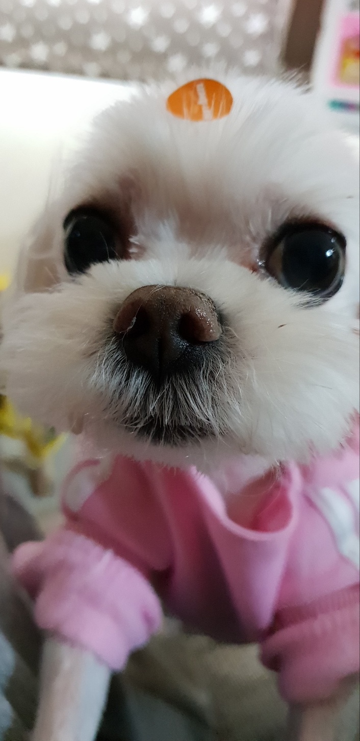 260108 남동구 미남이.jpg