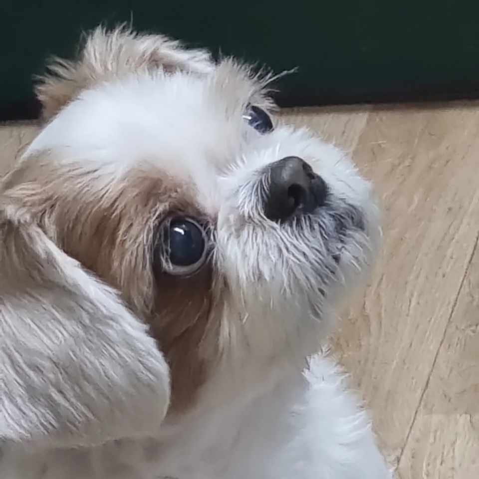 260108 시흥 미레.jpg