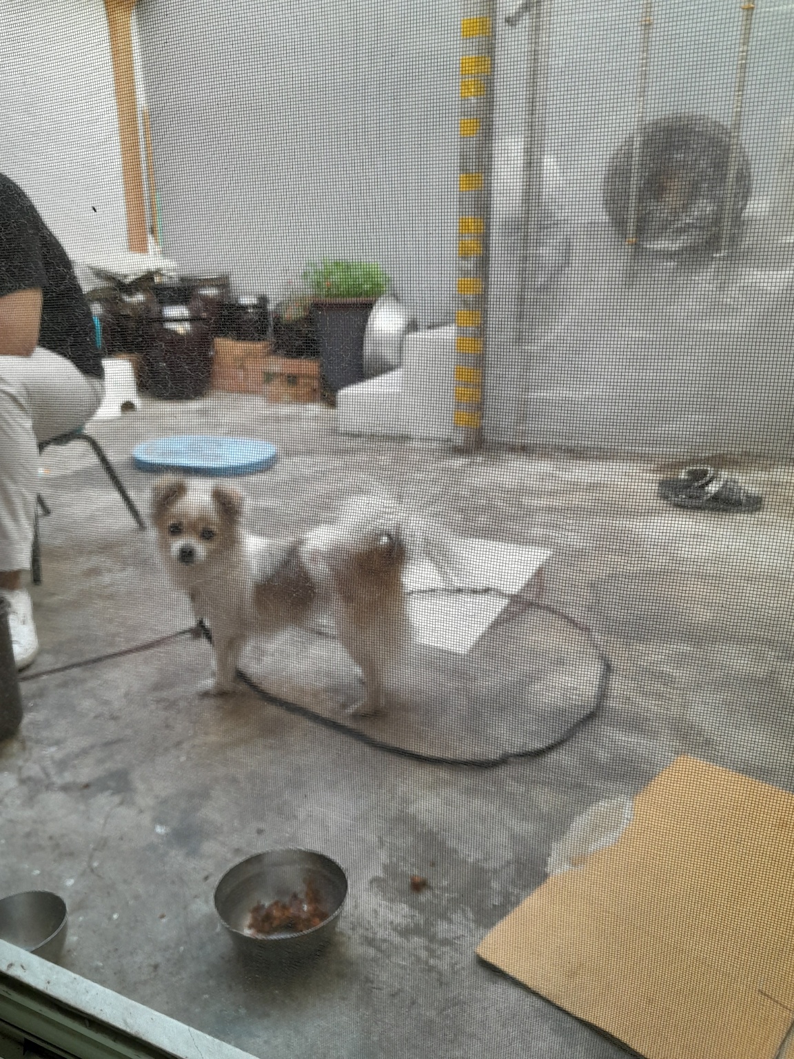 260109 중구 아롱이.jpg