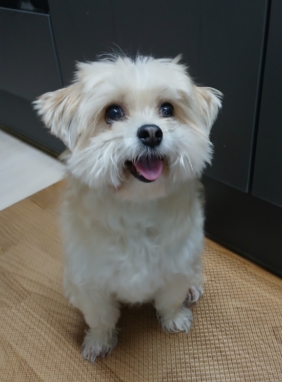 260110 시흥 제티.jpg