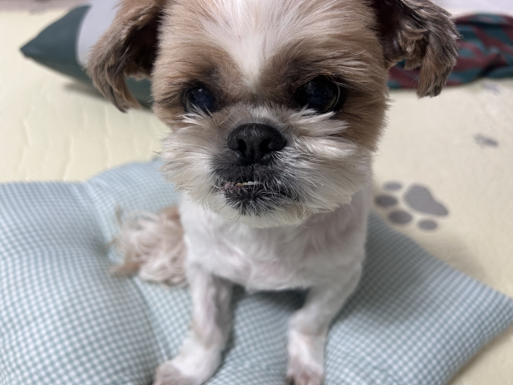 260112 연수구 희망이.jpg