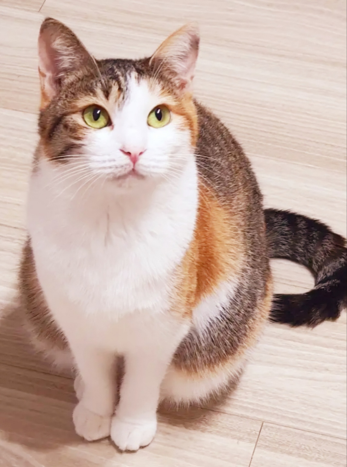 260113_ 부평_ 리코.jpg